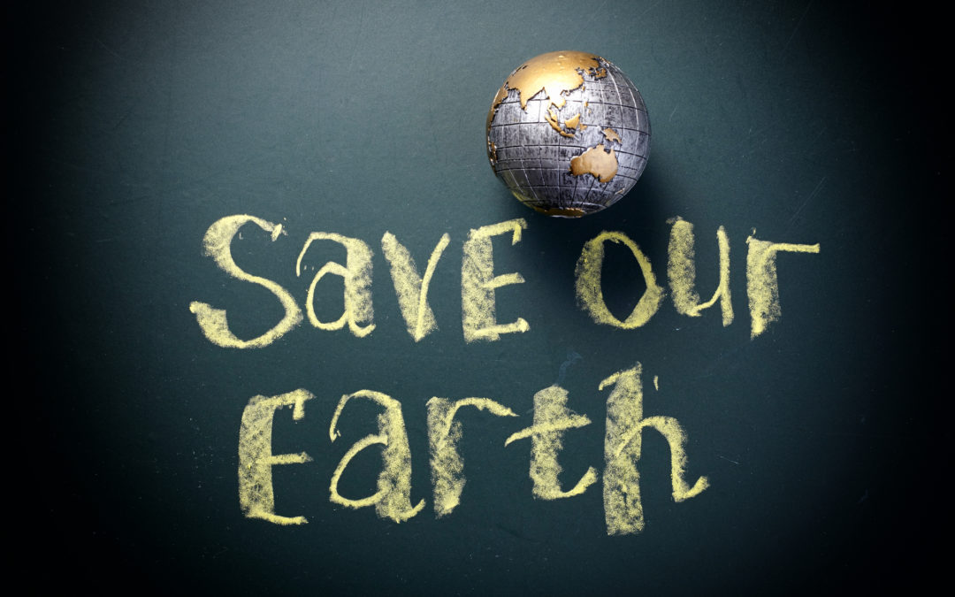 The Pinnacle Financial Group – Winners Announced!!! The PFG’s ‘Save the Earth’ Essay Contest