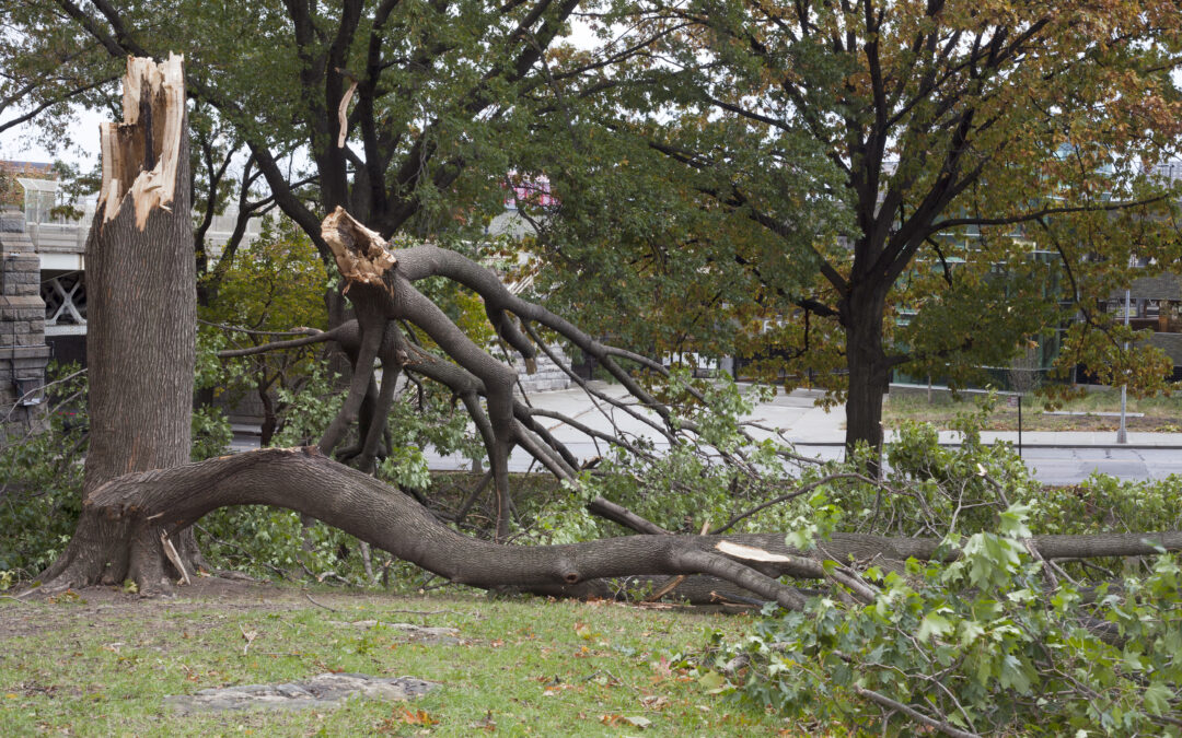 Hurricane Season or Not, be Prepared